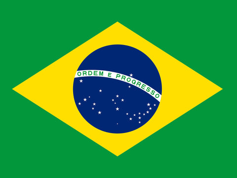 Flag Brazil Yard Sign