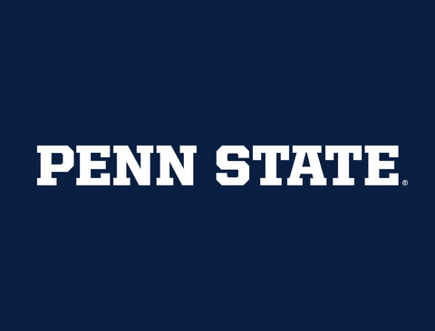 Penn State Wordmark Navy Lumilawn Sign