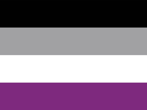 Asexual Pride Flag Yard Sign