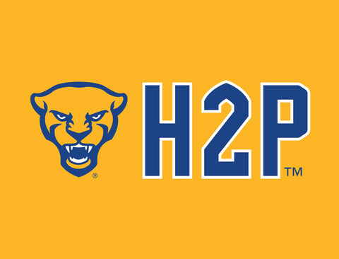 Pittsburgh Panther H2P University Gold Lumilawn Sign