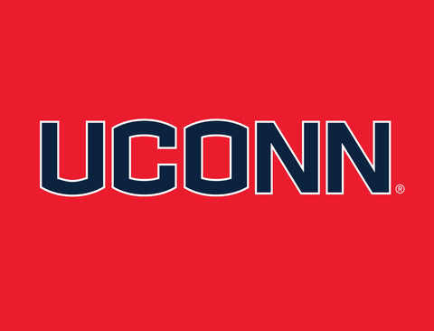 UConn Color Block Yard Sign