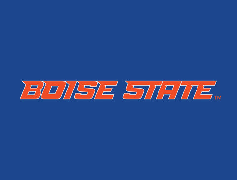 Boise State Wordmark Blue Lumilawn Sign