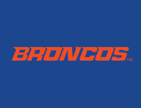 Boise State Broncos Wordmark Blue Lumilawn Sign