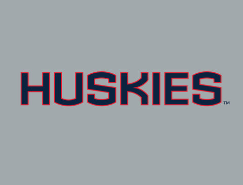 Huskies Color Block UConn Yard Sign