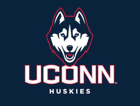 Huskies UConn Color Block Yard Sign