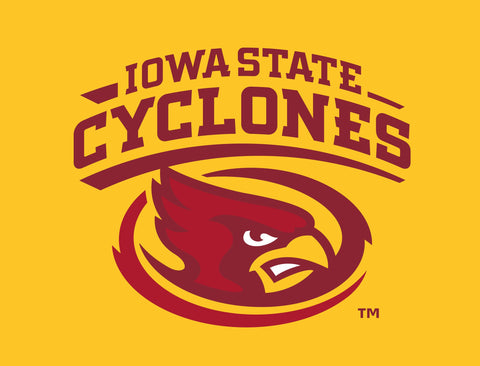 Iowa State Cyclones Yellow Lumilawn Sign