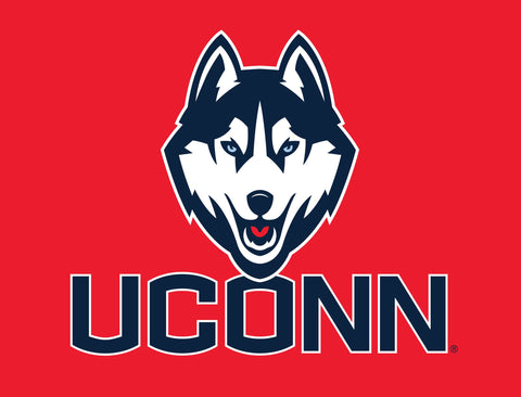 UConn Huskies Color Block Yard Sign