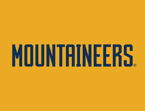 West Virginia Mountaineers Wordmark Gold Lumilawn Sign