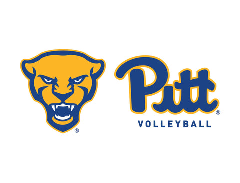 Pittsburgh Panther Pitt Volleyball White Lumilawn Sign