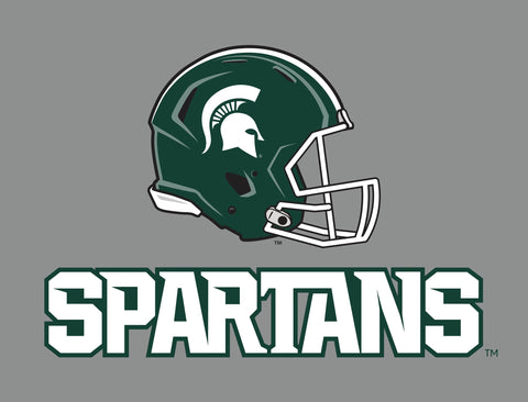 Michigan State Helmet Spartans Gray Lumilawn Sign