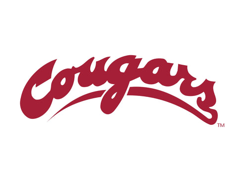 Washington State Cougars Wordmark White Lumilawn Sign