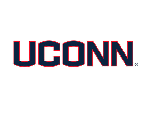 UConn Color Block Yard Sign