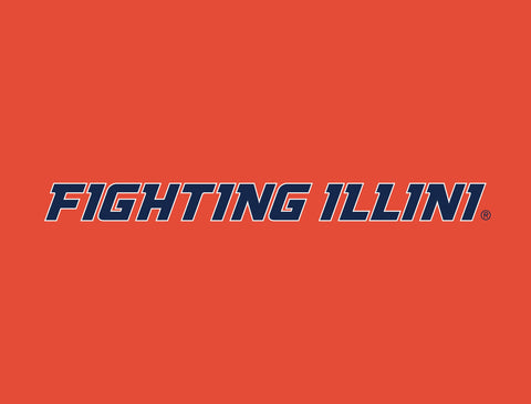 Illinois Fighting Illini Orange Yard Sign