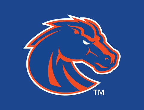 Boise State Broncos Primary Mark Blue Lumilawn Sign