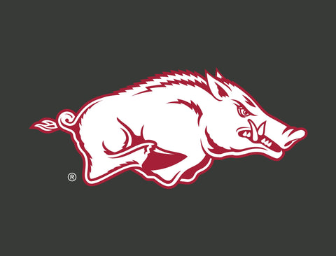 Arkansas Razorbacks White Anthracite Lumilawn Sign