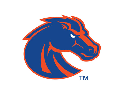 Boise State Broncos Primary Mark White Lumilawn Sign