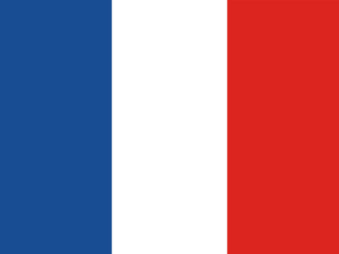 Flag France Yard Sign