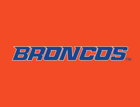 Boise State Broncos Wordmark Orange Lumilawn Sign