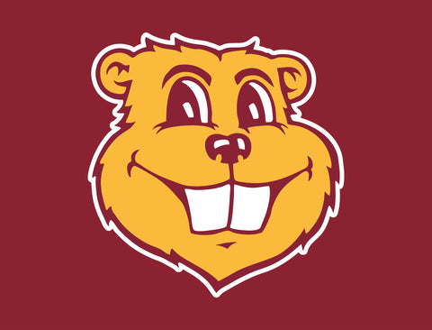 Minnesota Goldy Maroon Lumilawn Sign