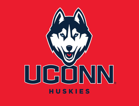 Huskies UConn Color Block Yard Sign