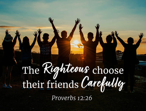 The Righteous Choose Friends Carefully Lumilawn Sign