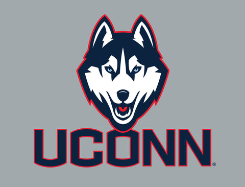 UConn Huskies Color Block Yard Sign