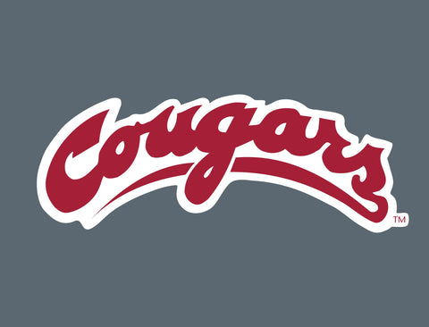 Washington State Cougars Wordmark Gray Lumilawn Sign