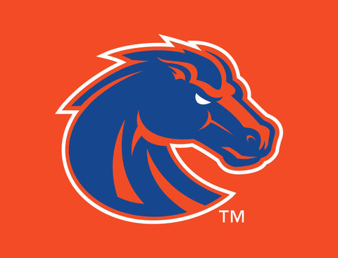 Boise State Broncos Primary Mark Orange Lumilawn Sign