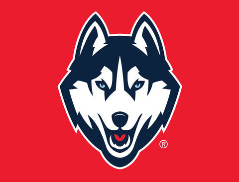 Huskies Color Block UConn Yard Sign