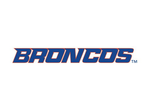 Boise State Broncos Wordmark White Lumilawn Sign