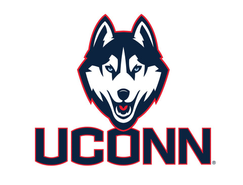 UConn Huskies Color Block Yard Sign