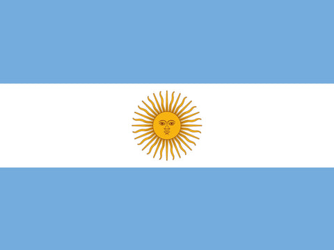 Flag Argentina Yard Sign