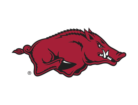 Arkansas Razorbacks White Yard Sign