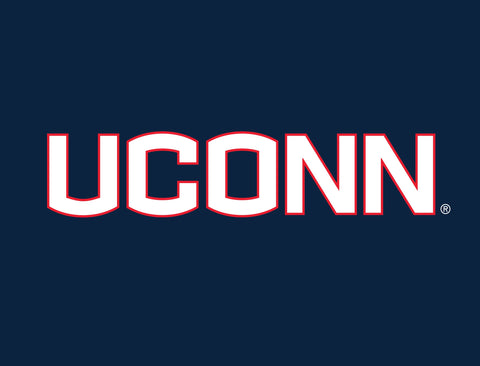 UConn Color Block Yard Sign