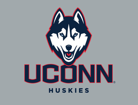 Huskies UConn Color Block Yard Sign