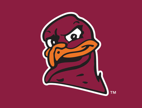 Virginia Tech Hokies Bird Mascot Maroon Lumilawn Sign