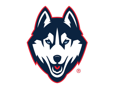 Huskies Color Block UConn Yard Sign