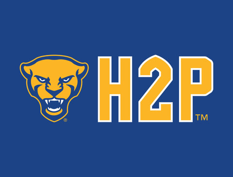 Pittsburgh Panther H2P Royal Lumilawn Sign