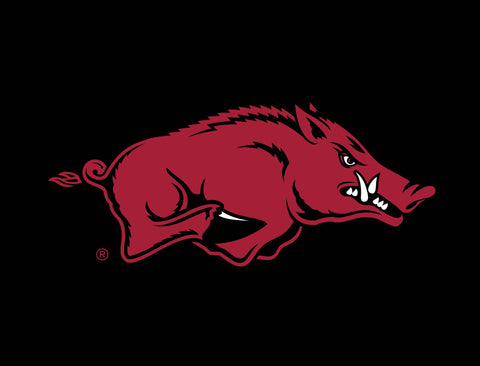 Arkansas Razorbacks Mascot Black Lumilawn Sign