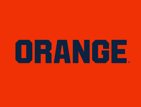 Syracuse University Orange Lumilawn Sign