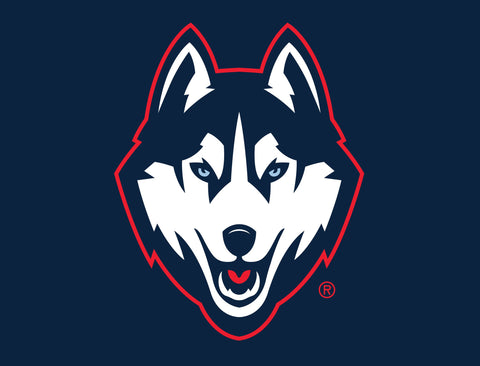 Huskies Color Block UConn Yard Sign