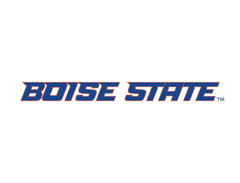 Boise State Wordmark White Lumilawn Sign