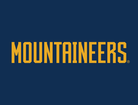 West Virginia Mountaineers Wordmark Blue Yard Sign