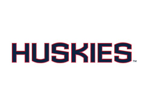 Huskies Color Block UConn Yard Sign