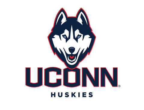 Huskies UConn Color Block Yard Sign