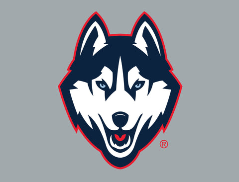 Huskies Color Block UConn Yard Sign