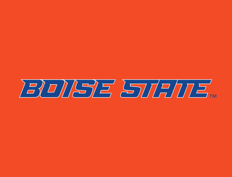 Boise State Wordmark Orange Lumilawn Sign