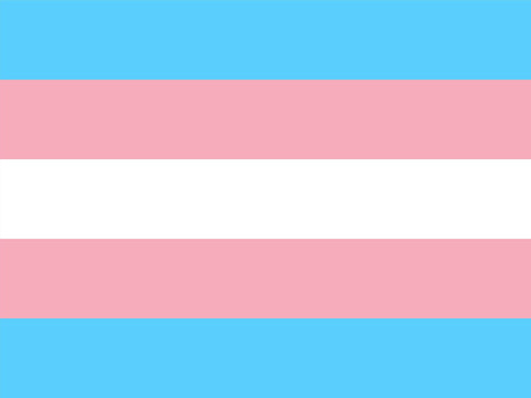 Transgender Pride Flag Yard Sign