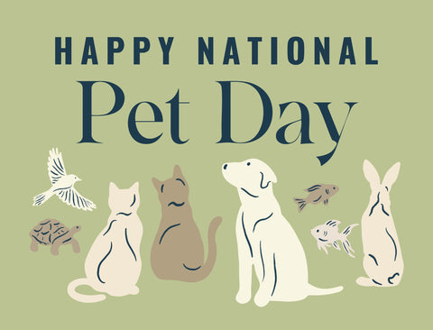 National Pet Day Lumilawn Sign