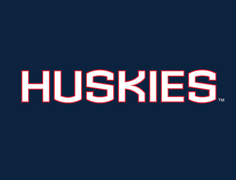 Huskies Color Block UConn Yard Sign